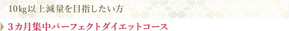 10㎏以上減量を目指したい方→3カ月集中パーフェクトダイエットコース